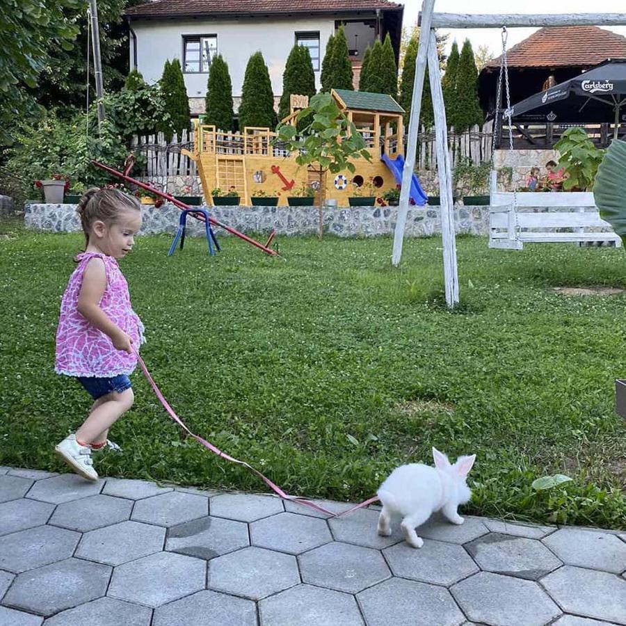 Restoran,,Vuk,, Trsic Bed & Breakfast エクステリア 写真